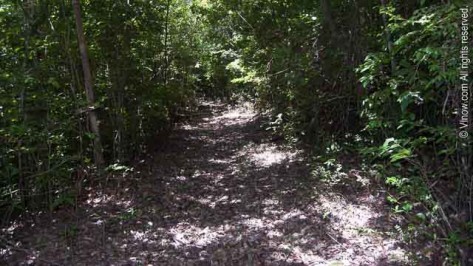 Water Catchments Trail